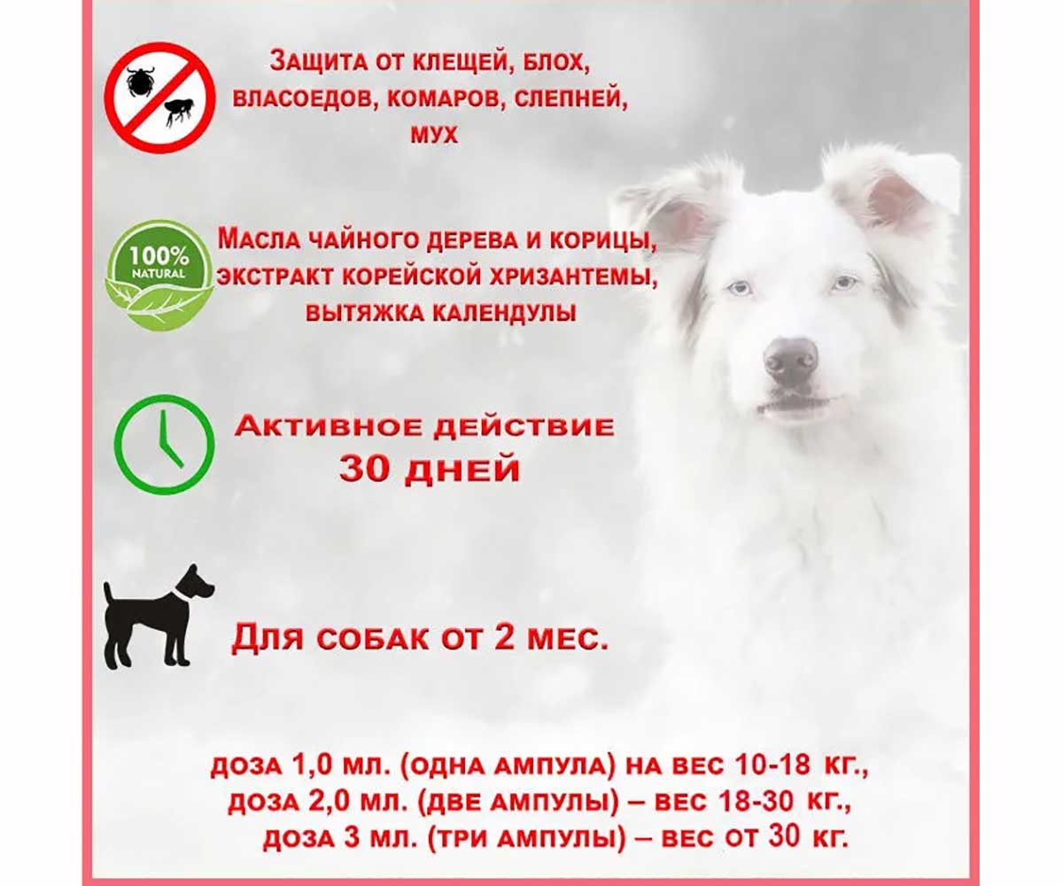 Биовакс Капли На Холку От Блох, Клещей, Комаров Для Собак Паразиты?Нет!