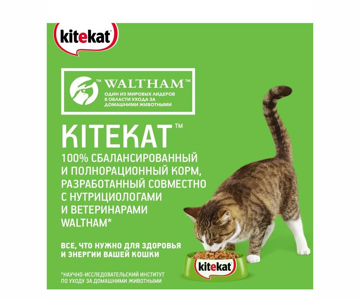 Сухой Корм Kitekat (Китекат) Для Кошек Улов Рыбака 15кг (1*1)