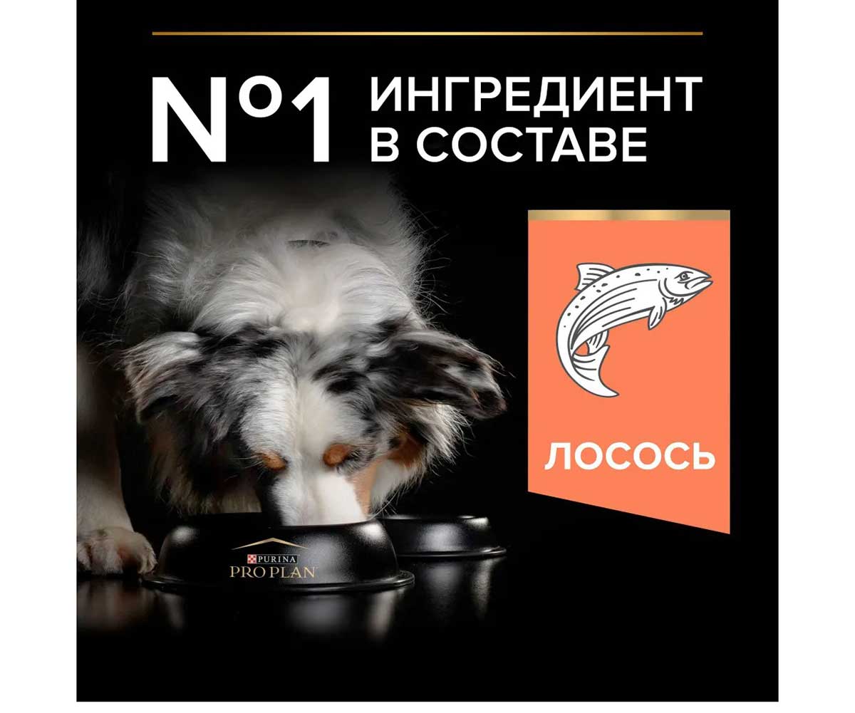 Сухой Корм Pro Plan (Проплан) Для Собак Средних Пород с Чувствительной Кожей Лосось и Рис OPTI Derma Sensitive Skin Medium Adult 3кг (1*4)