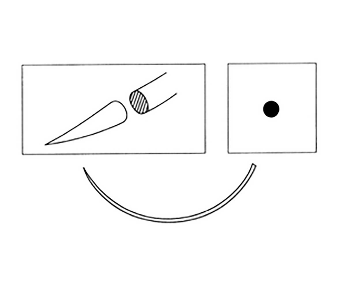 Капроаг Атравматика №2/0 (3 Метр Р-Р) 0,75м С Колющей Иглой Hr-25