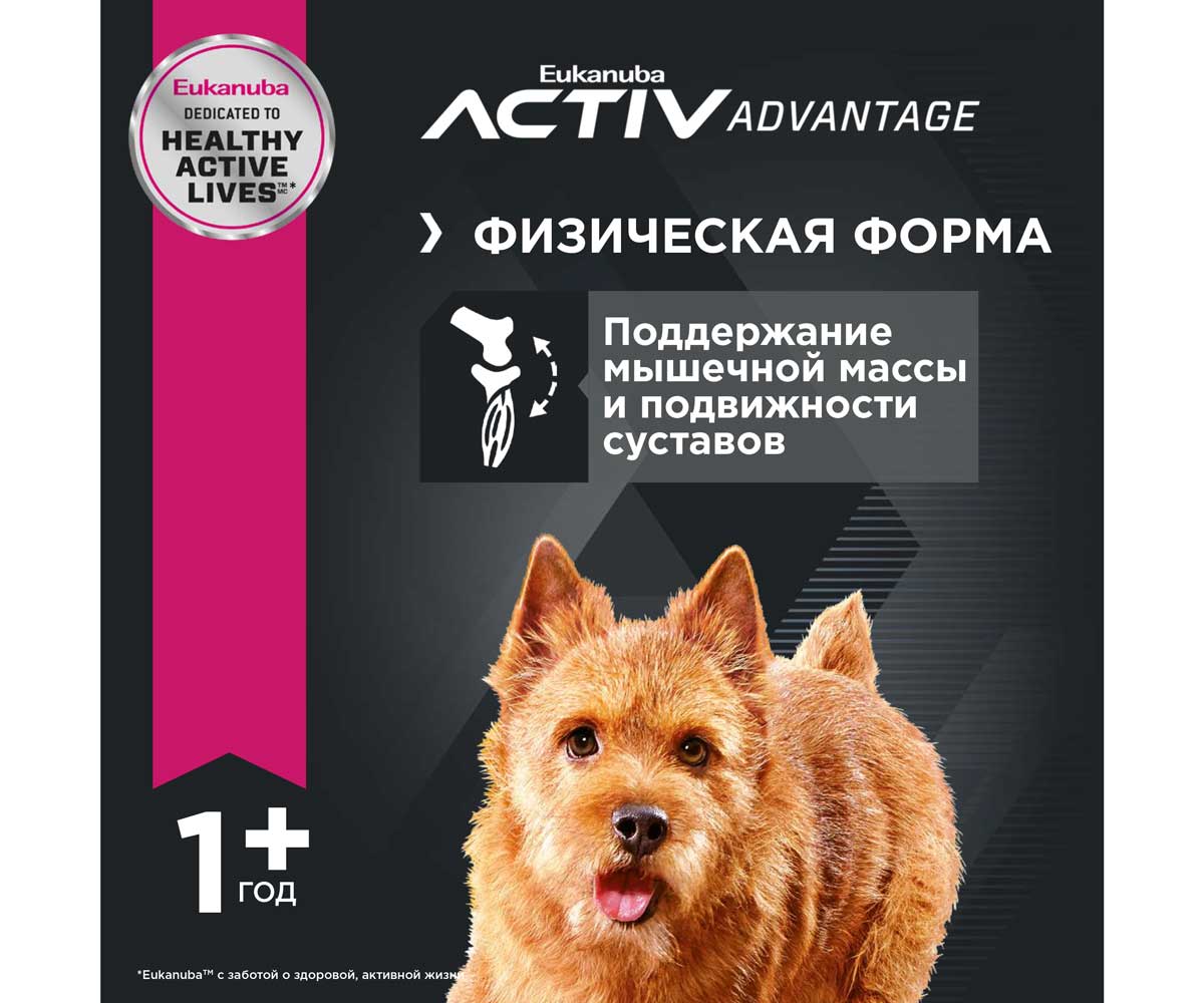 Сухой Корм Eukanuba (Эукануба) Для Собак Мелких Пород Курица Adult Small Breed Chicken 800г