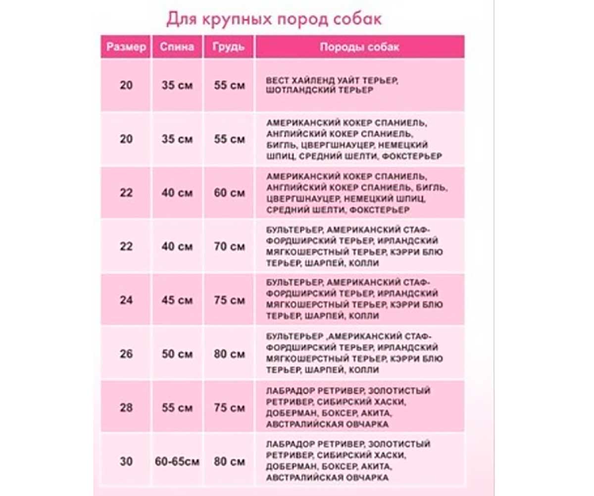 Дождевик Для Собак Крупных Пород Футбол Красный 28 Pet Fashion (Пет Фешн) Универсал