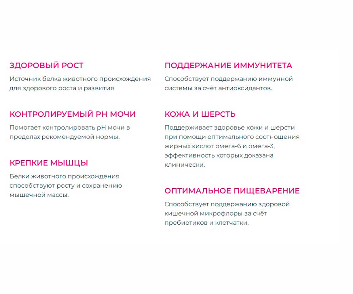 Влажный Корм Eukanuba (Эукануба) Для Котят Курица в Соусе Kitten Healthy Start 85г