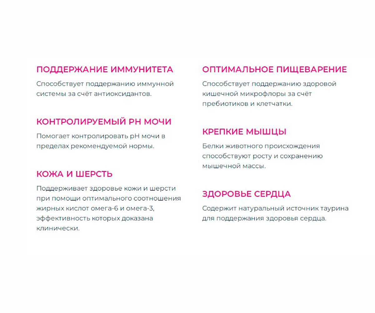 Влажный Корм Eukanuba (Эукануба) Для Кошек Говядина в Соусе Adult Beef 85г