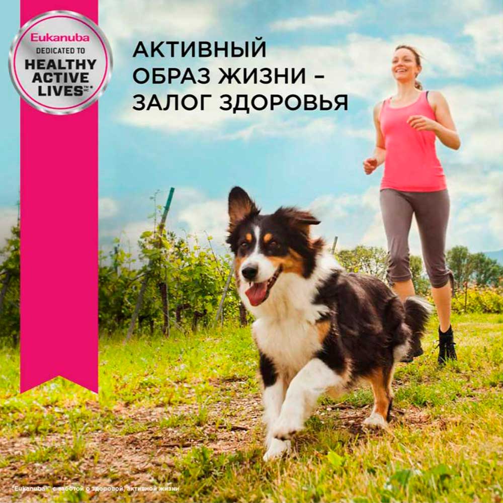 Влажный Корм Eukanuba (Эукануба) Для Собак Всех Пород Ягненок в Соусе Adult Lamb 100г