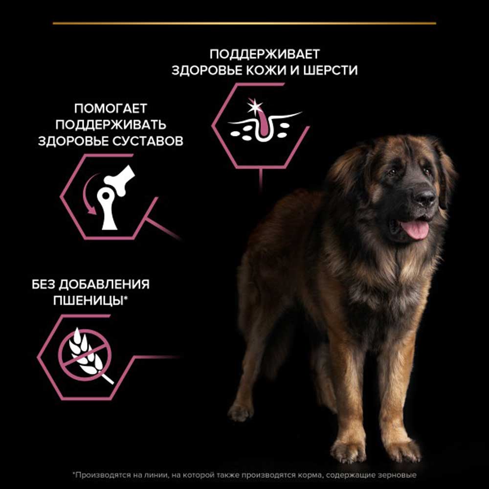 Сухой Корм Pro Plan (ПроПлан) Для Собак Крупных Пород с Мощным Телосложением с Чувствительной Кожей Лосось и Рис OPTI Health Large Robust Adult 14кг
