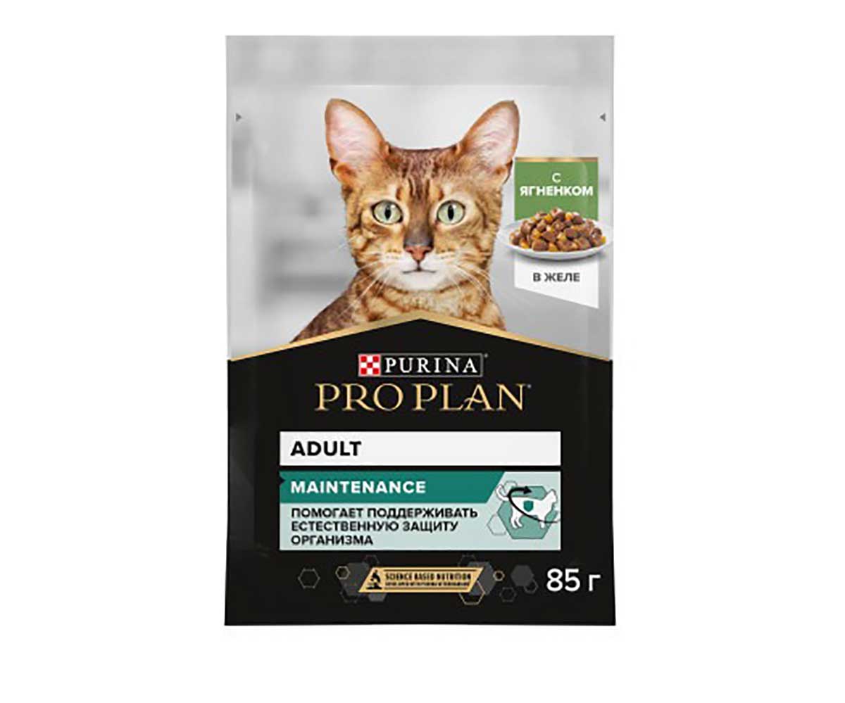 Влажный Корм Pro Plan (ПроПлан) Для Кошек Ягненок в Желе Adult Lamb 85г (1*24)