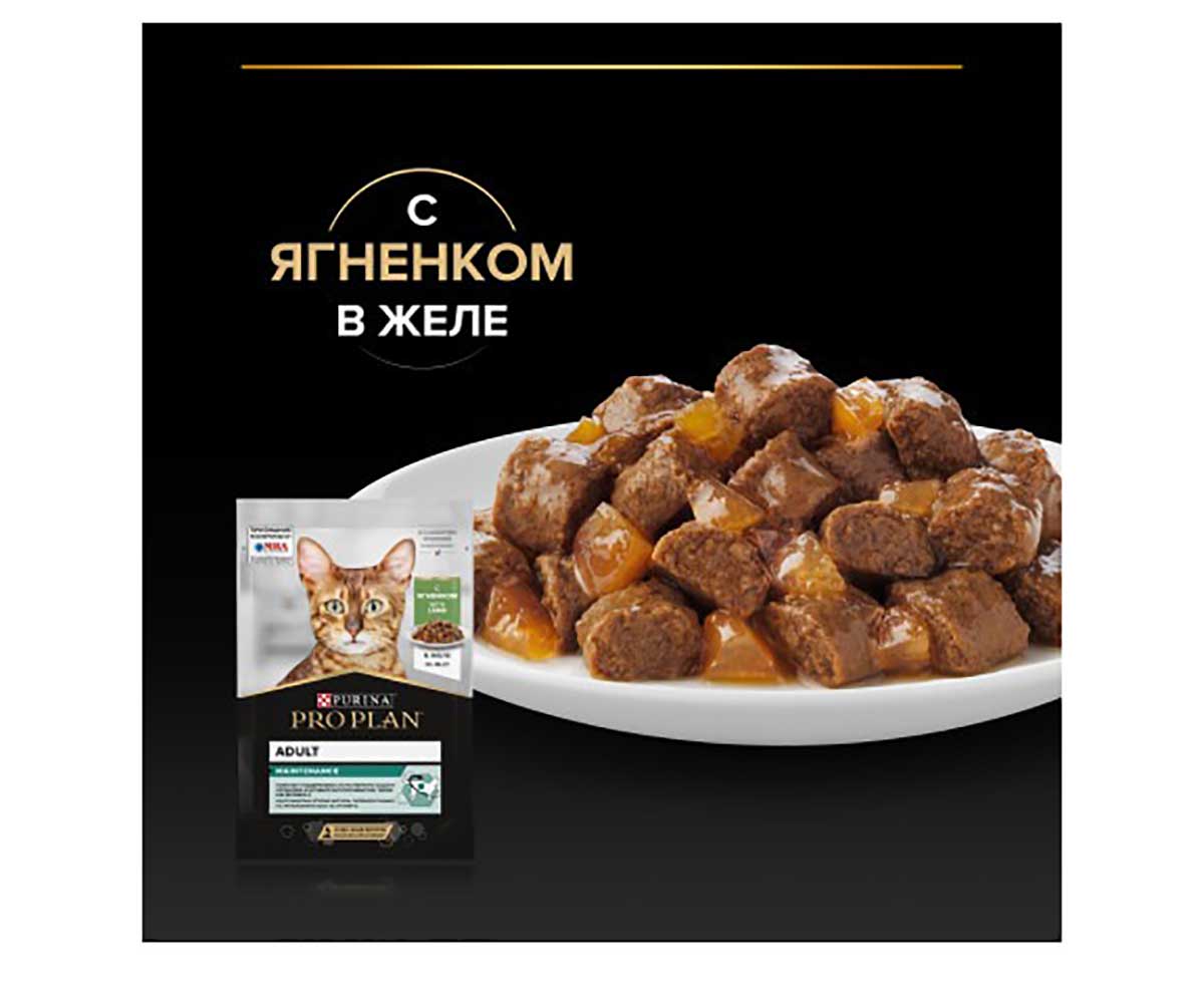 Влажный Корм Pro Plan (ПроПлан) Для Кошек Ягненок в Желе Adult Lamb 85г (1*24)