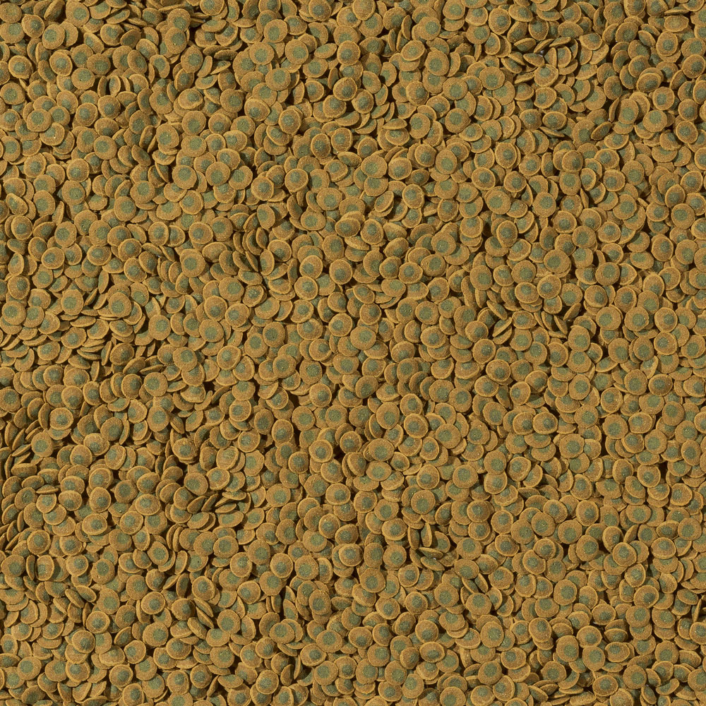 Корм Для Рыб Tetra (Тетра) Pleco Veggie Waffers Пластинки Для Донных Рыб 15г 257313