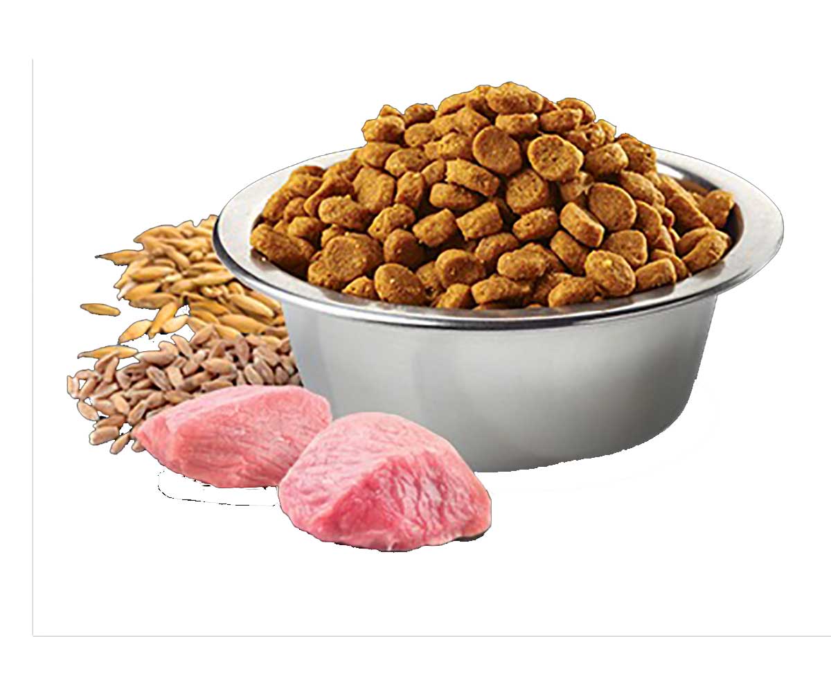 Сухой Корм Farmina (Фармина) Для Кошек Ягненок и Черника Низкозерновой Natural & Delicious Ancestral Grain Adult Cat Lamb & Blueberry 300г