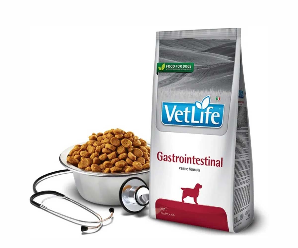 Лечебный Сухой Корм Farmina (Фармина) Для Собак При Нарушениях Пищеварения Vet Life Canine Gastrointestinal 2кг