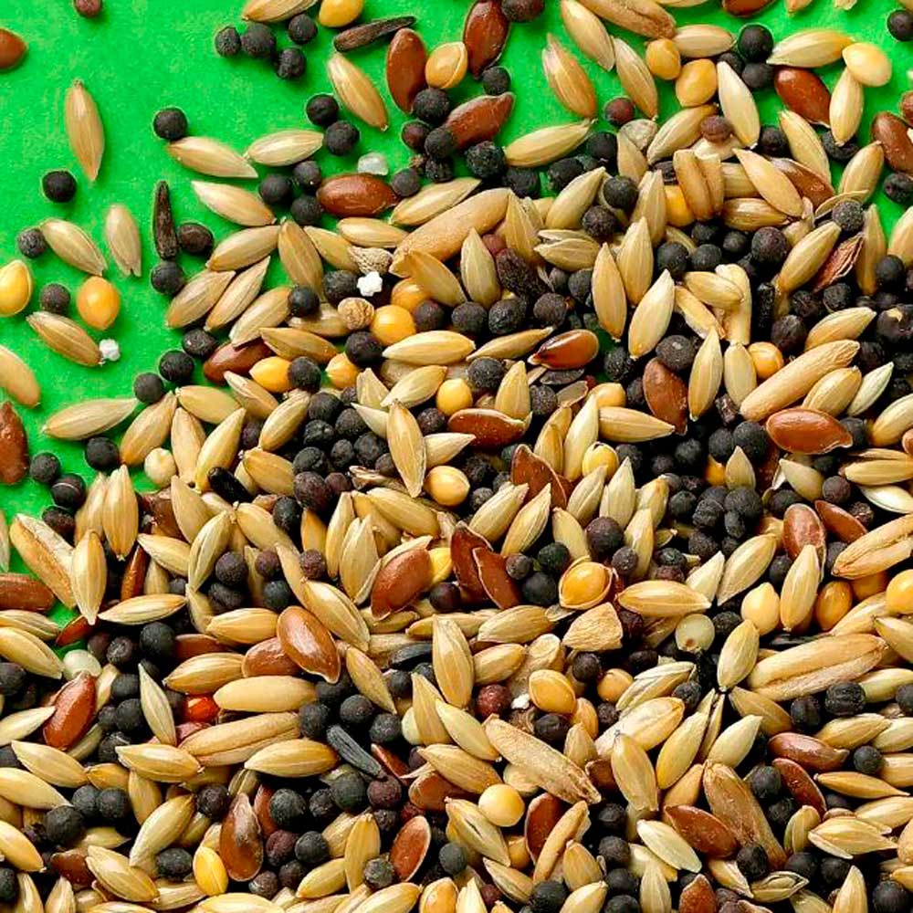 Сухой Корм Rio (Рио) Canaries Daily Ration Для Канареек 1кг