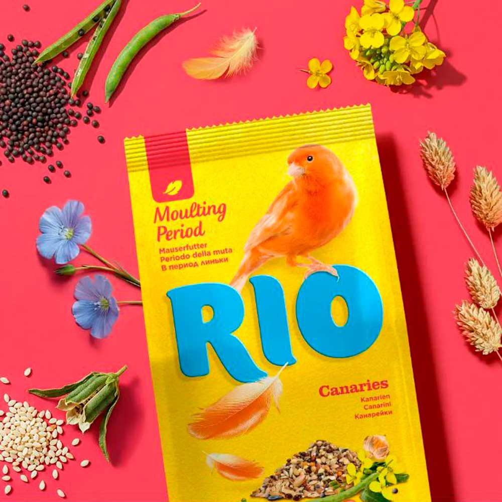 Сухой Корм Rio (Рио) Для Канареек в Период Линьки 500г