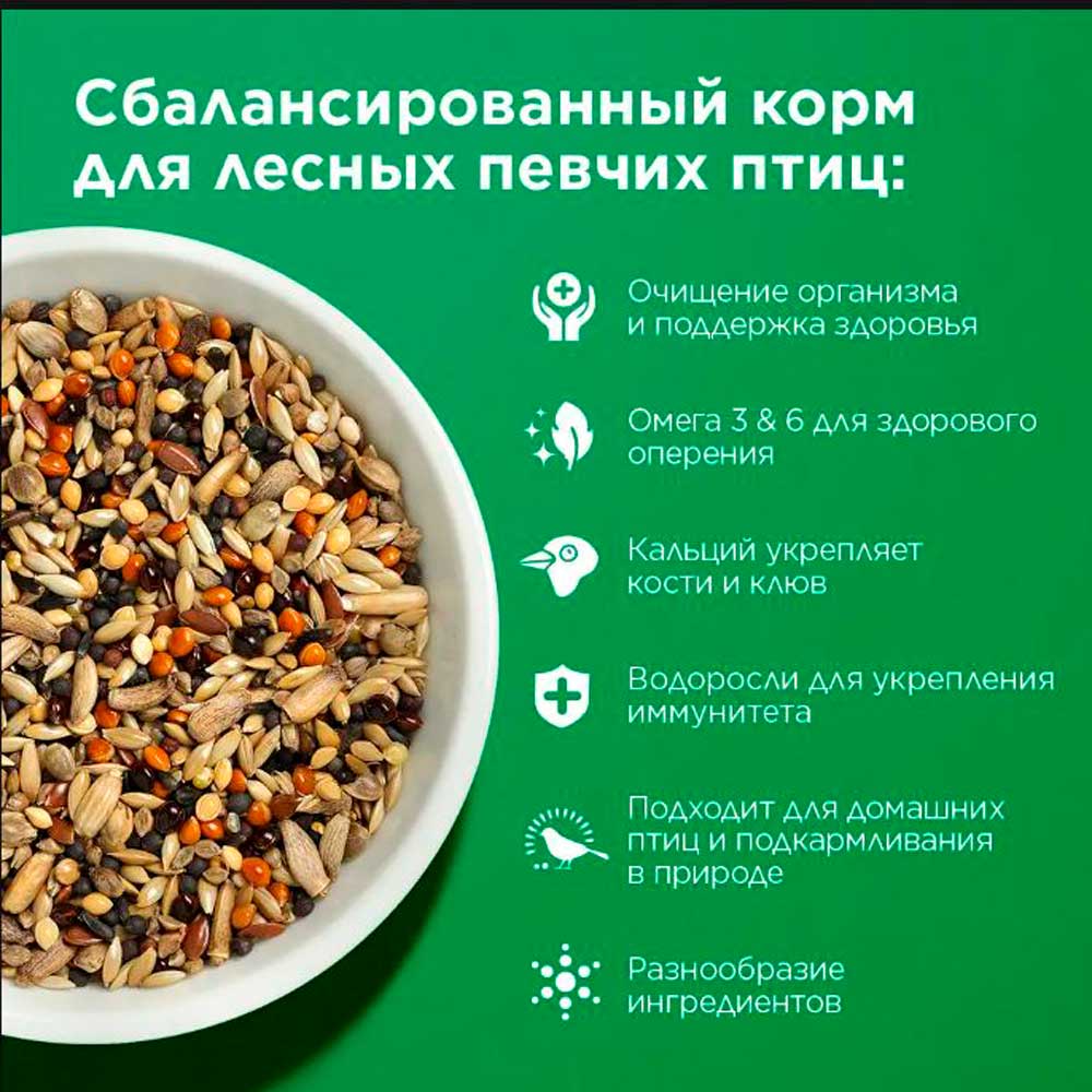Сухой Корм Rio (Рио) Wild Birds Для Лесных Певчих Птиц 500г
