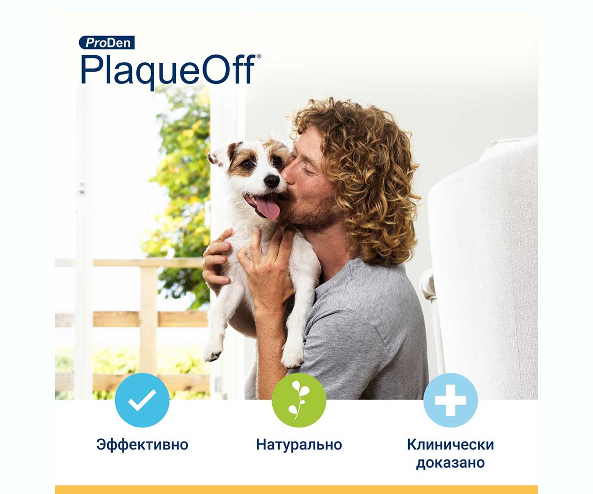 Proden Plaqueoff Средство Для Профилактики Зубного Камня у Кошек и Собак 40г