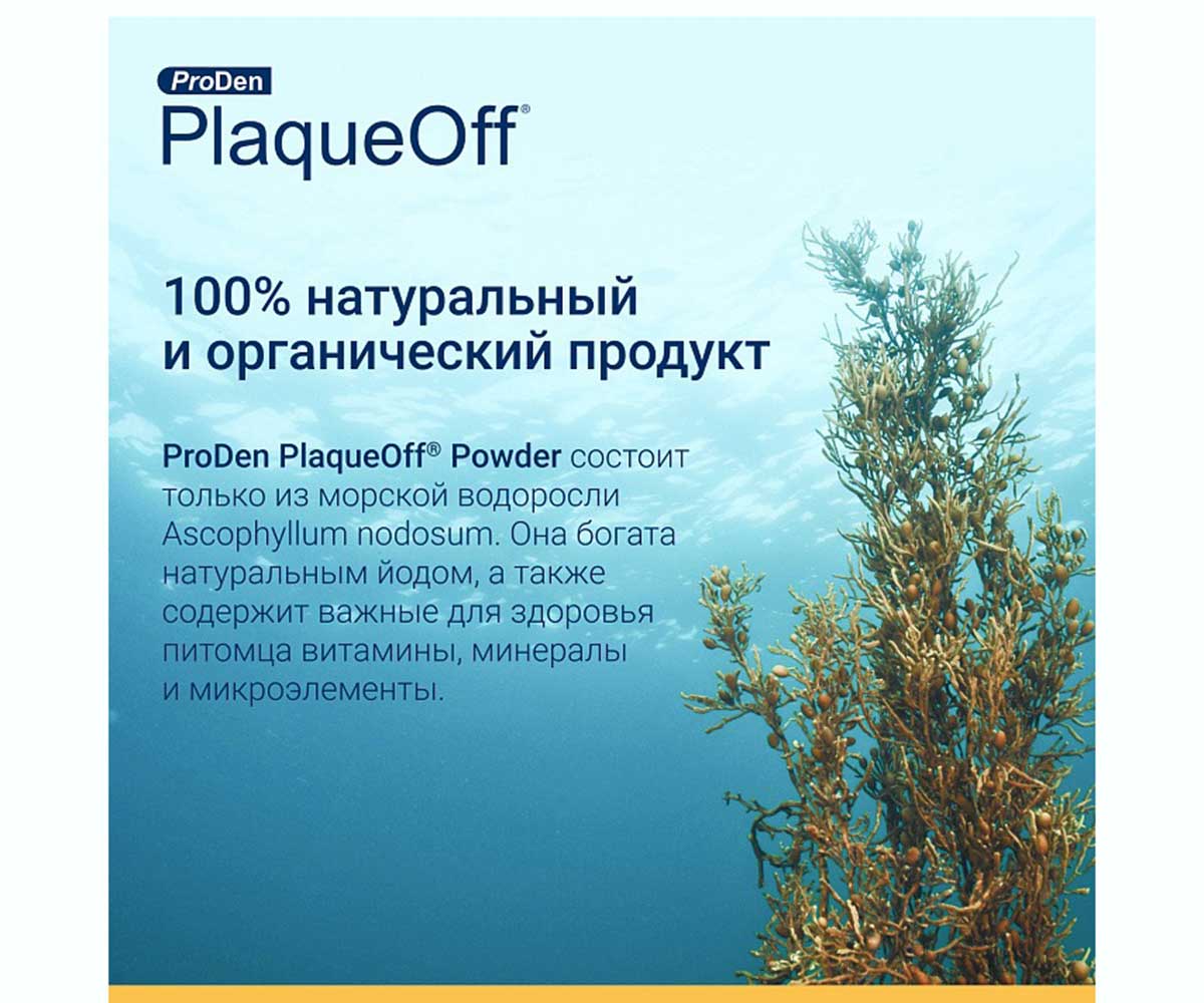 Proden Plaqueoff Средство Для Профилактики Зубного Камня у Кошек и Собак 40г