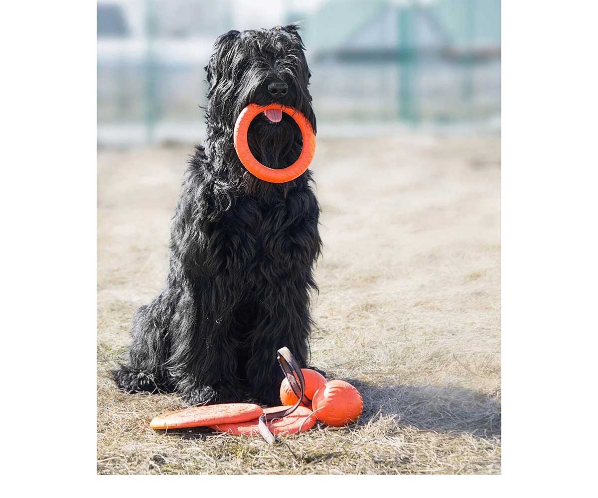Игрушка Для Собак Doglike (Доглайк) Кольцо 8-Гранное Среднее 27см*17,5см*4,3см