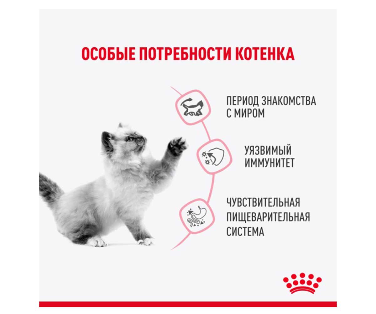 Влажный Корм Royal Canin (Роял Канин) Для Кастрированных и Стерилизованных Котят в Желе Feline Health Nutrition Kitten Sterilised Jelly 85г
