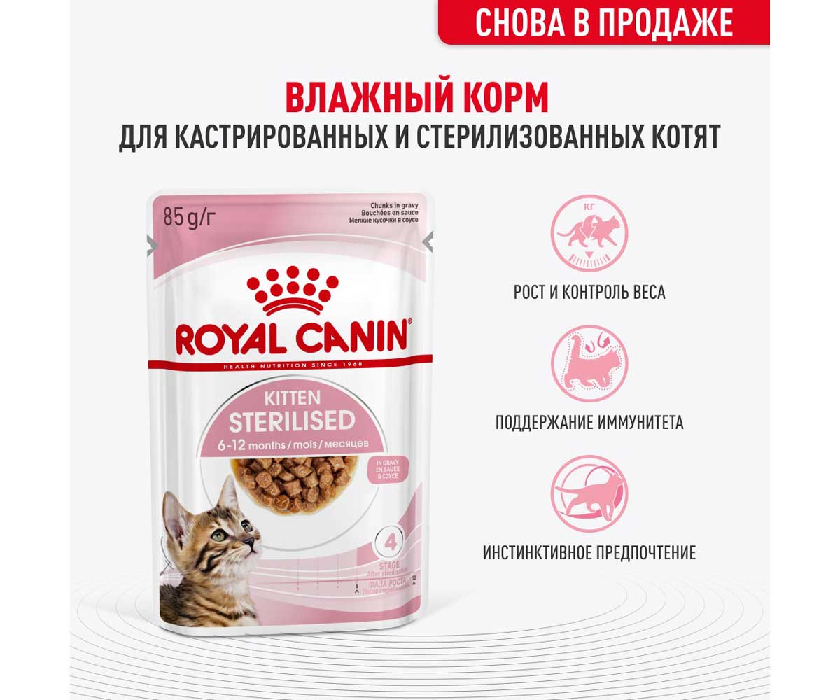 Влажный Корм Royal Canin (Роял Канин) Для Кастрированных и Стерилизованных Котят в Соусе Feline Health Nutrition Kitten Sterilised Gravy 85г