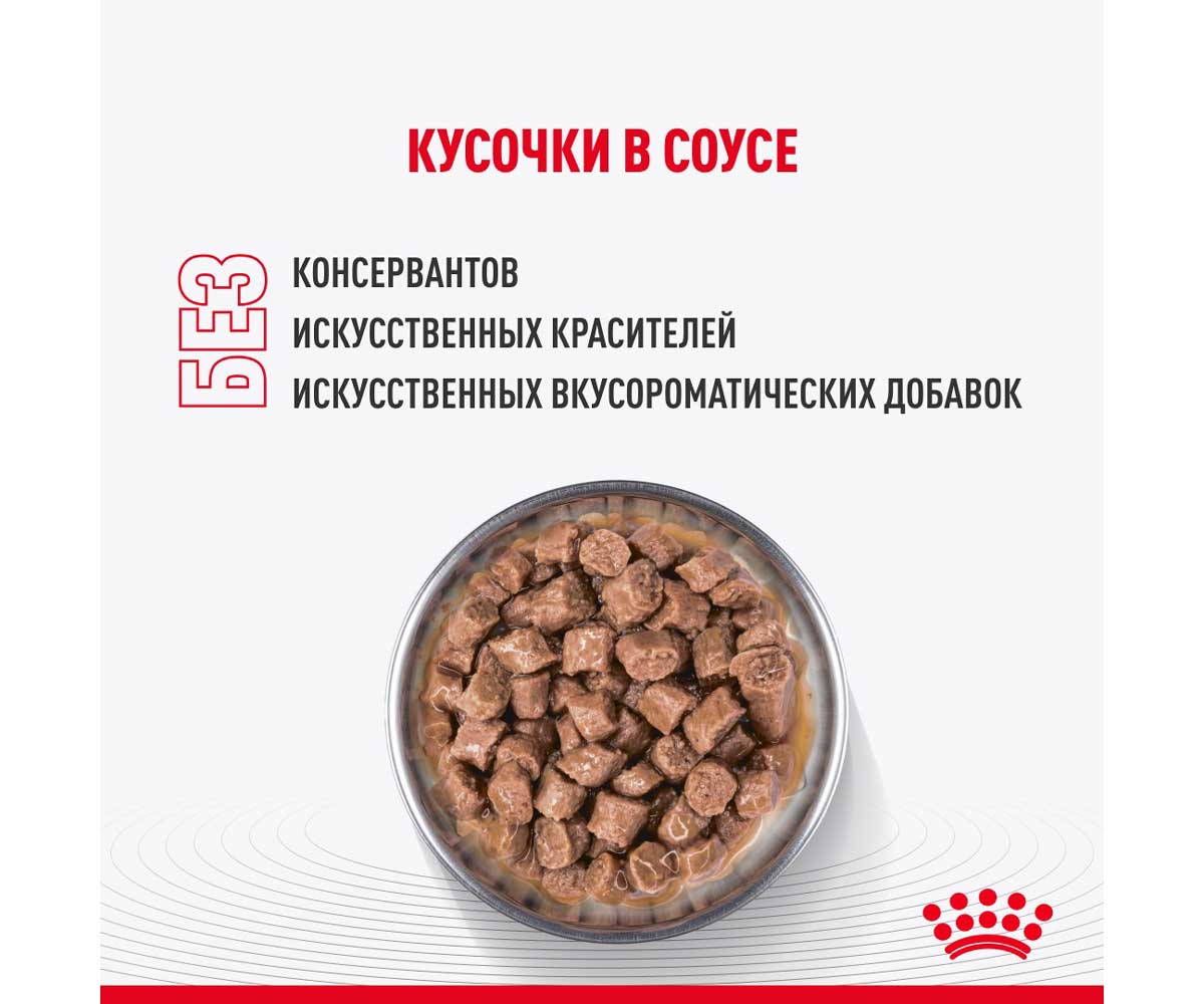 Влажный Корм Royal Canin (Роял Канин) Для Кастрированных и Стерилизованных Котят в Соусе Feline Health Nutrition Kitten Sterilised Gravy 85г