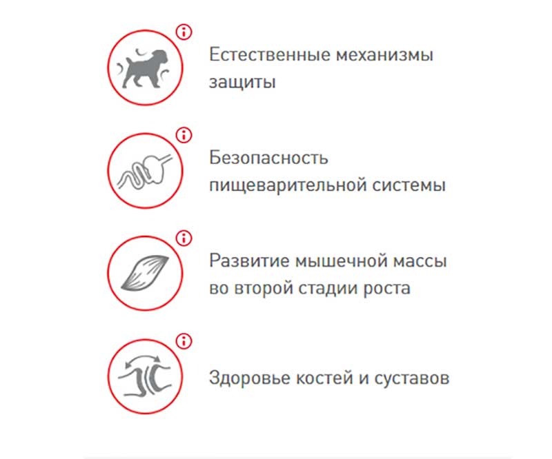 Сухой Корм Royal Canin (Роял Канин) Для Щенков Гигантских Пород Size Health Nutrition GIANT Junior 3,5кг