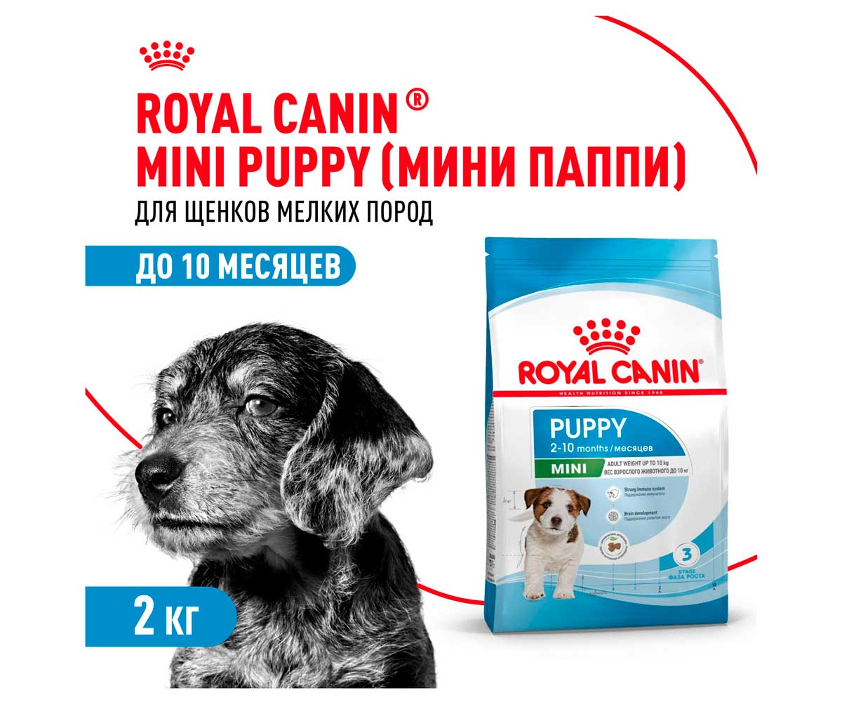 Сухой Корм Royal Canin (Роял Канин) Для Щенков Мелких Пород Size Health Nutrition Mini Puppy 2кг