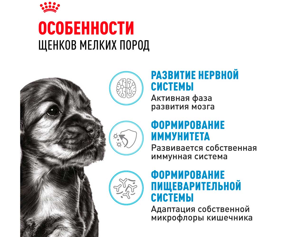 Сухой Корм Royal Canin (Роял Канин) Для Щенков Мелких Пород Size Health Nutrition Mini Puppy 2кг