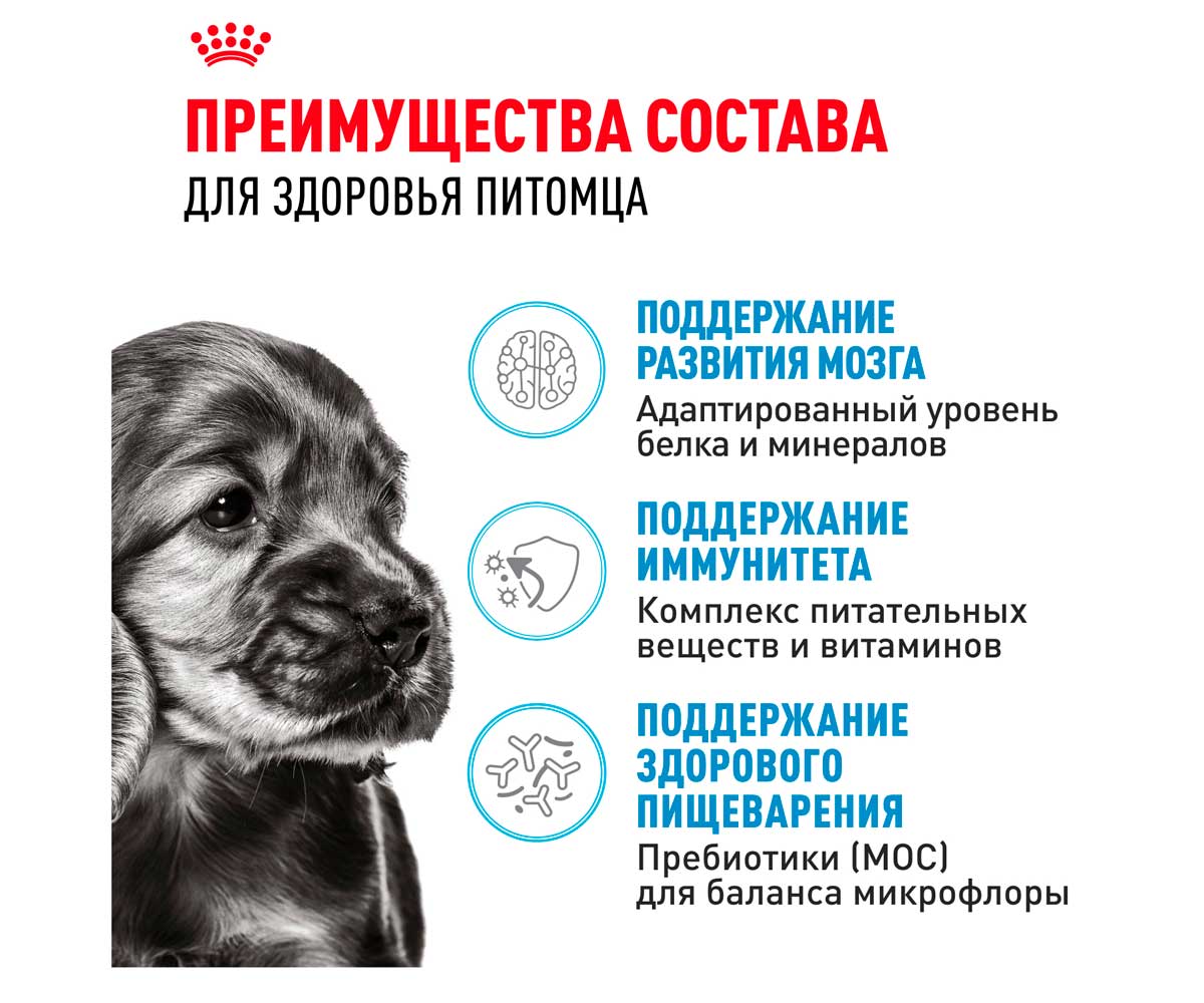 Сухой Корм Royal Canin (Роял Канин) Для Щенков Мелких Пород Size Health Nutrition Mini Puppy 2кг
