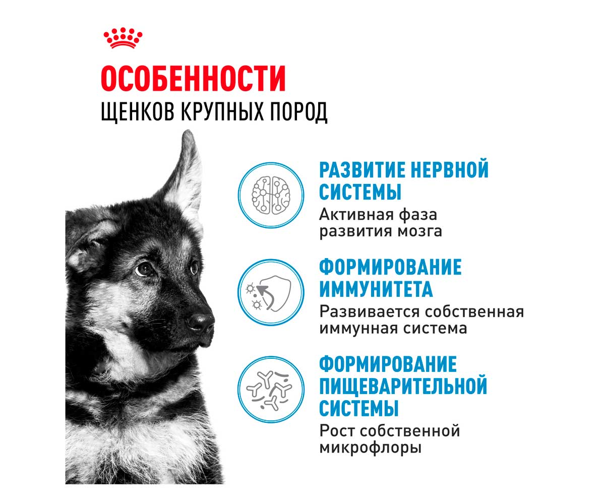 Сухой Корм Royal Canin (Роял Канин) Для Щенков Крупных Пород Size Health Nutrition Maxi Puppy 15кг