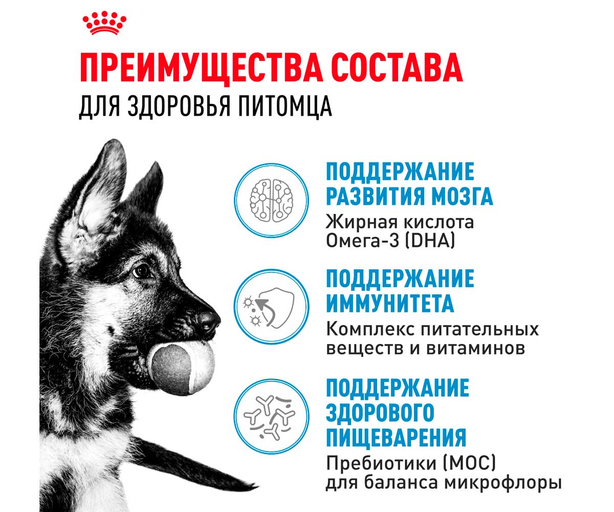 Сухой Корм Royal Canin (Роял Канин) Для Щенков Крупных Пород Size Health Nutrition Maxi Puppy 15кг