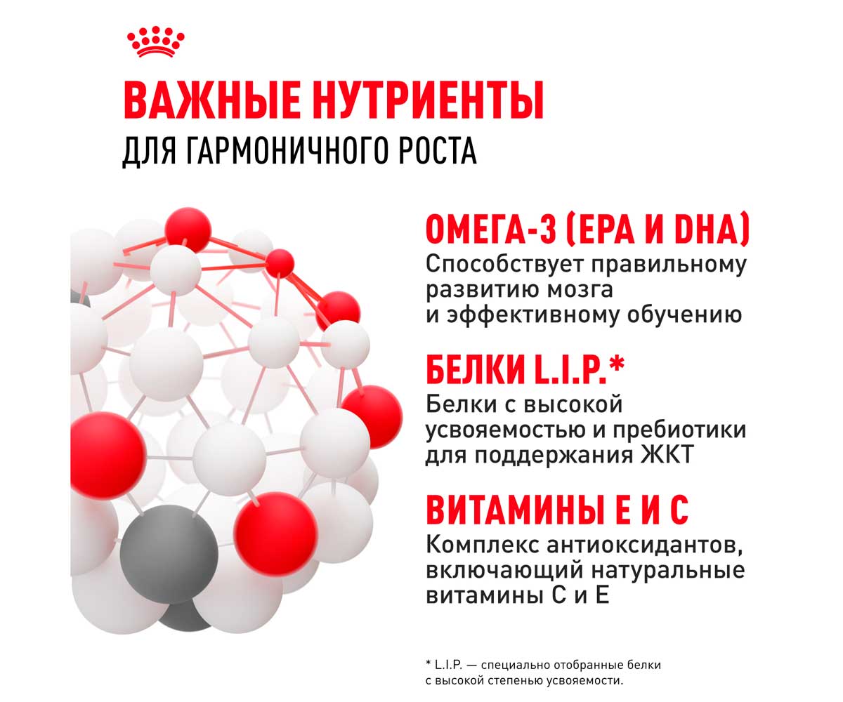 Сухой Корм Royal Canin (Роял Канин) Для Щенков Крупных Пород Size Health Nutrition Maxi Puppy 15кг