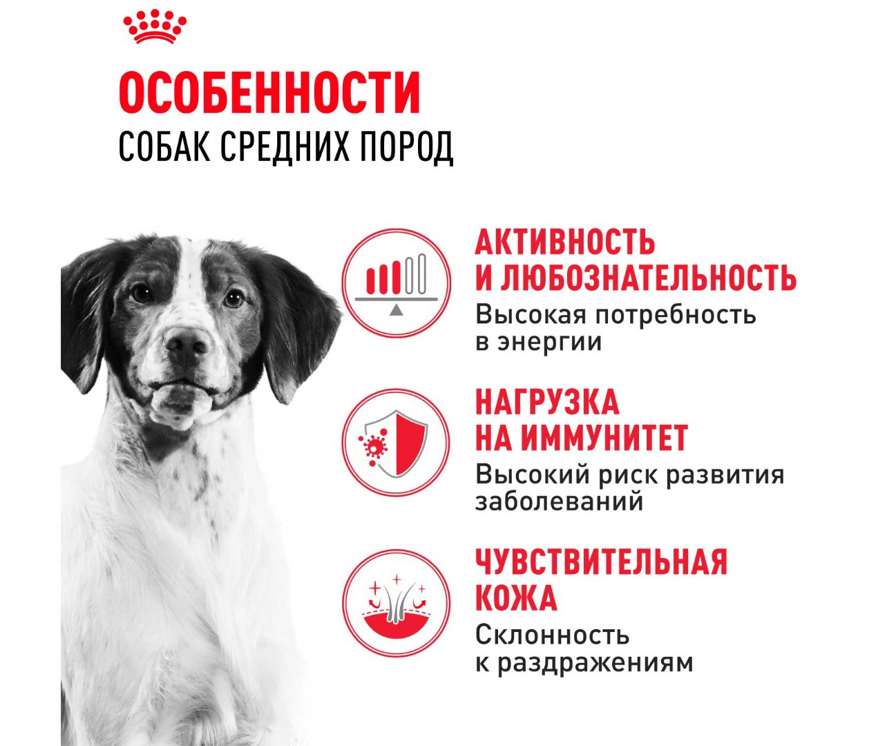 Сухой Корм Royal Canin (Роял Канин) Для Собак Средних Пород Size Health Nutrition MEDIUM Adult 3кг