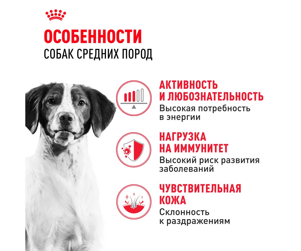 Сухой Корм Royal Canin (Роял Канин) Для Собак Средних Пород Size Health Nutrition MEDIUM Adult 3кг