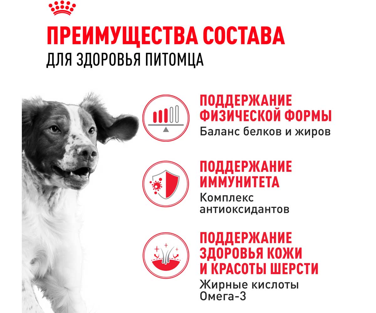 Сухой Корм Royal Canin (Роял Канин) Для Собак Средних Пород Size Health Nutrition MEDIUM Adult 3кг