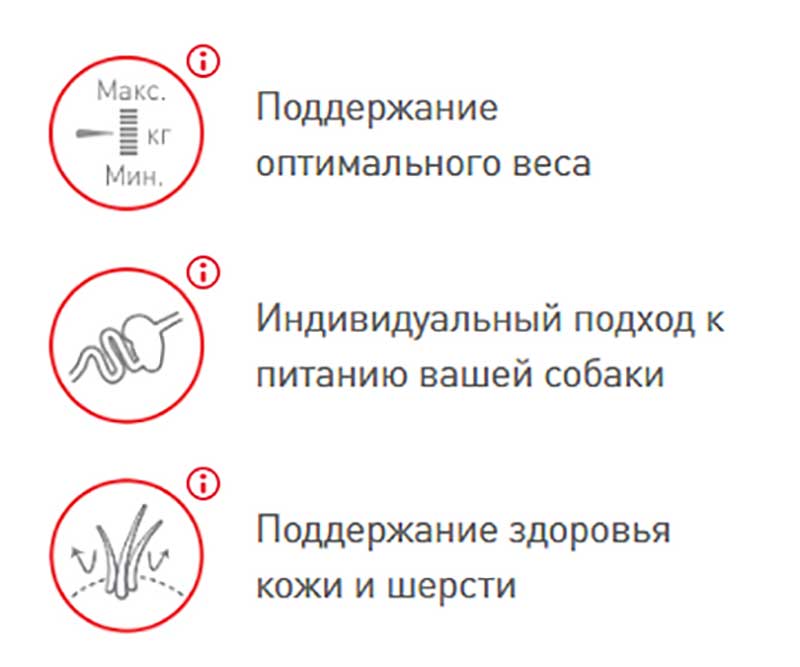 Влажный Корм Royal Canin (Роял Канин) Для Собак Мелких Пород в Соусе Mini Adult 85г