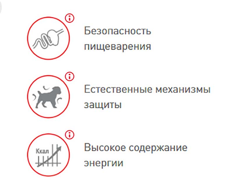 Влажный Корм Royal Canin (Роял Канин) Для Щенков Мелких Пород в Соусе Mini Puppy 85г