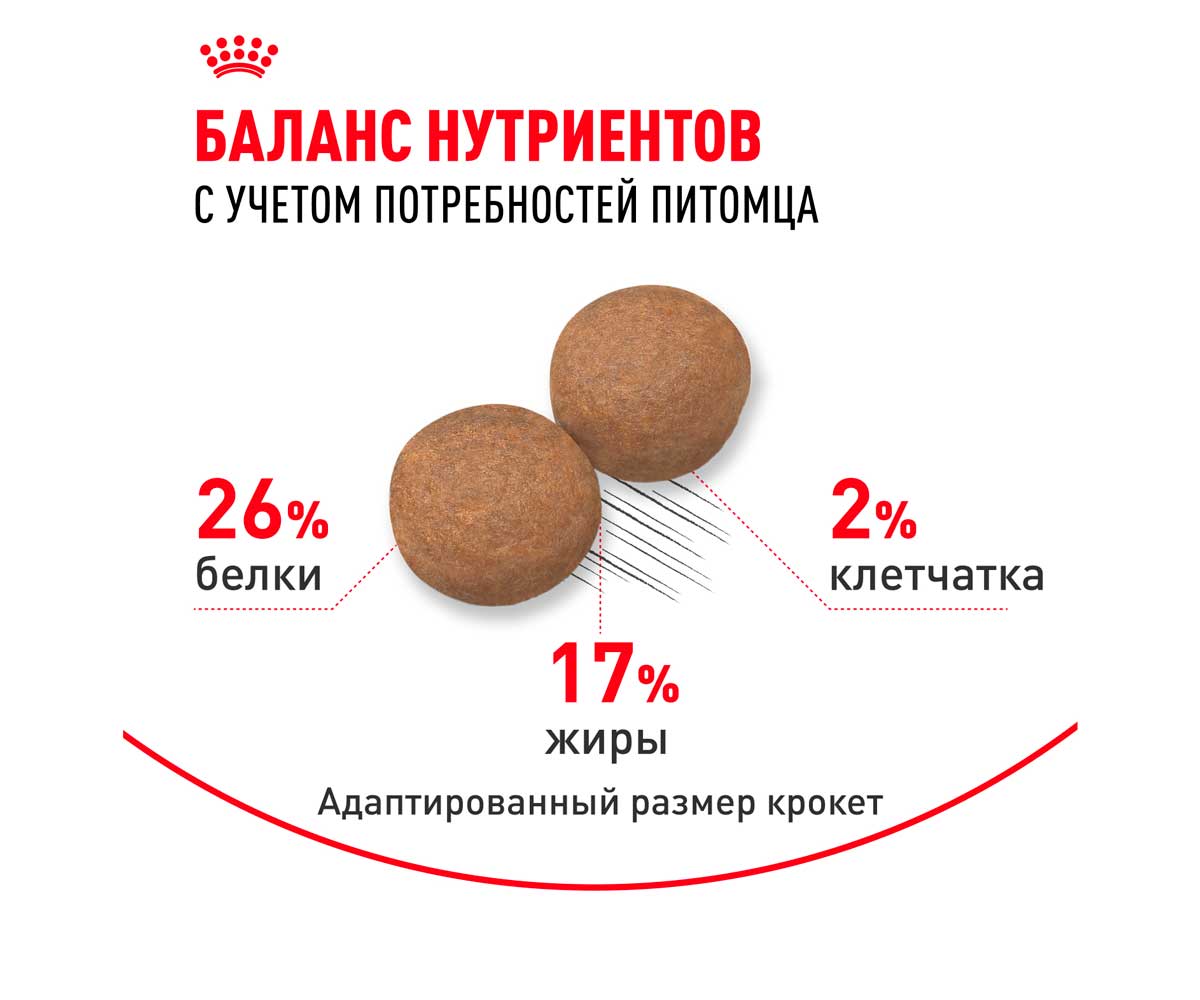 Сухой Корм Royal Canin (Роял Канин) Для Собак Крупных Пород Size Health Nutrition Maxi Adult 3кг