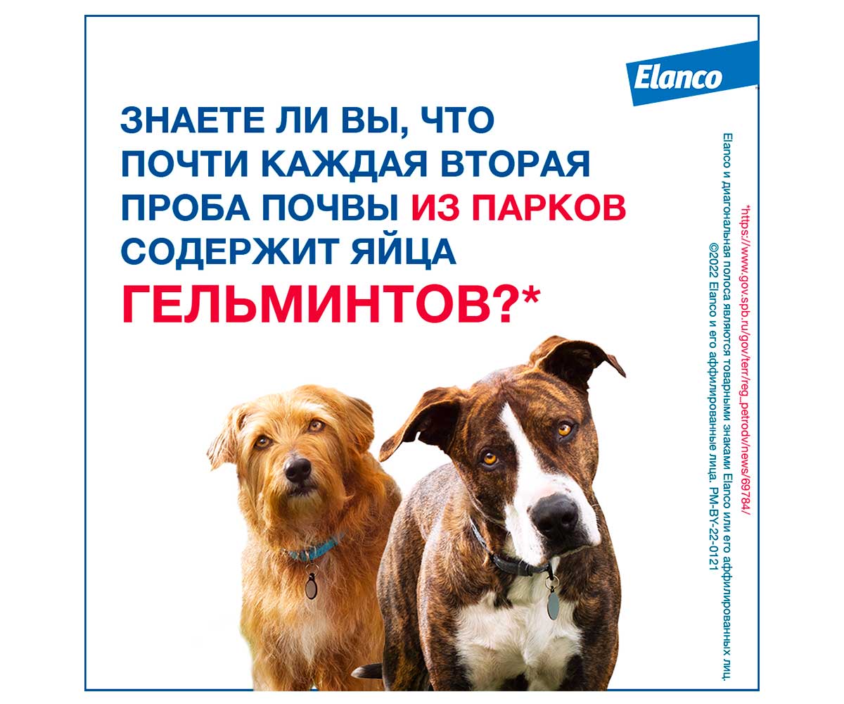 Milbemax (Мильбемакс) Антигельминтик Таблетки Для Собак Крупных Пород 2таб Milbemax Elanco
