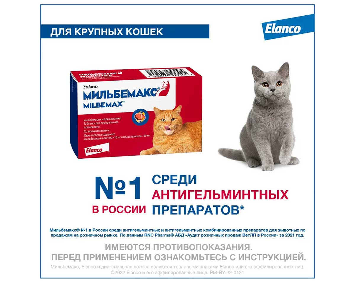 Milbemax (Мильбемакс) Антигельминтик Таблетки Для Кошек От 2 До 8 кг 2таб Milbemax Elanco
