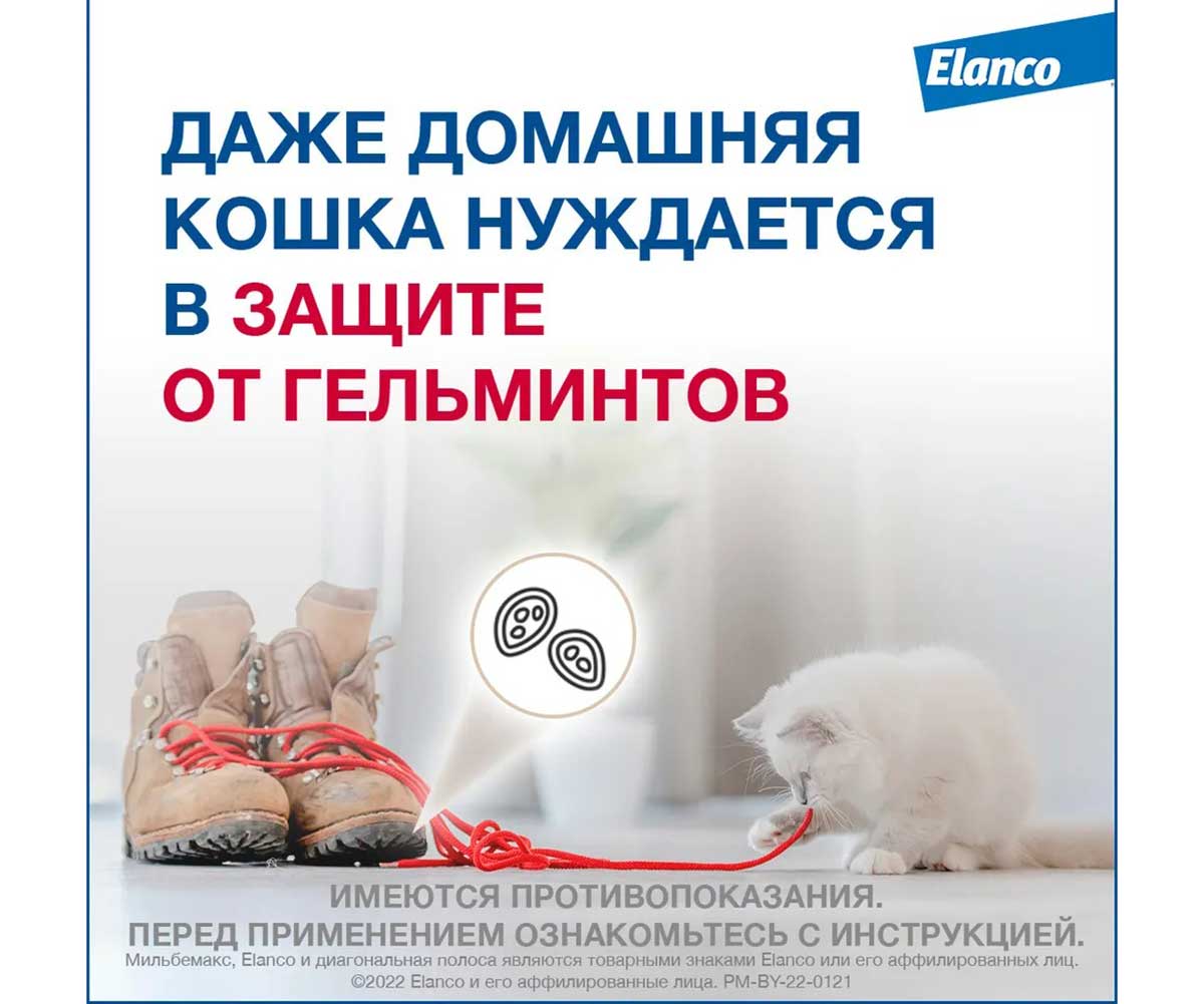 Milbemax (Мильбемакс) Антигельминтик Таблетки Для Кошек От 2 До 8 кг 2таб Milbemax Elanco