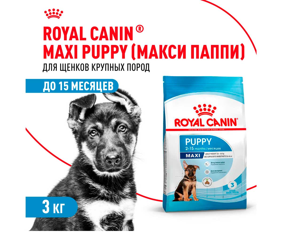 Сухой Корм Royal Canin (Роял Канин) Для Щенков Крупных Пород Size Health Nutrition Maxi Puppy 3кг