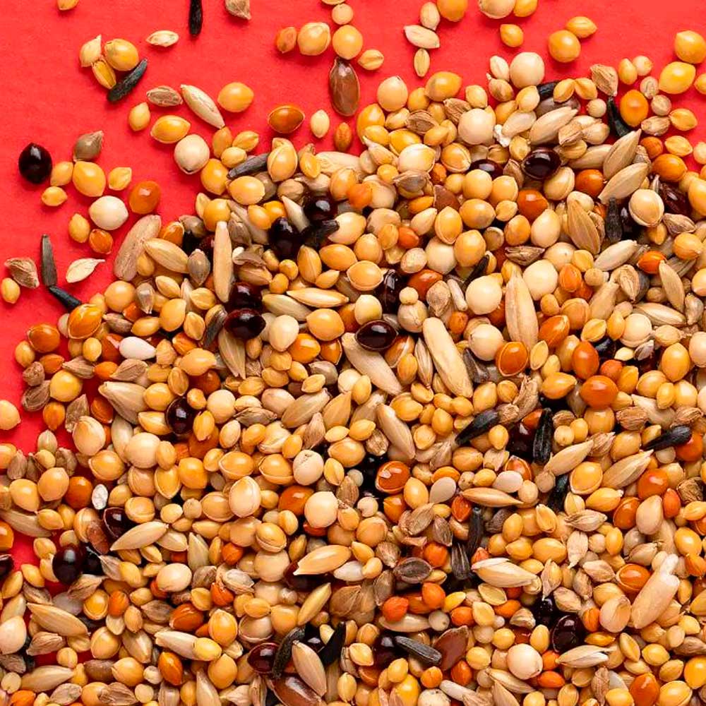 Сухой Корм Rio (Рио) Daily Food for Exotic Birds Для Экзотических Птиц 1кг