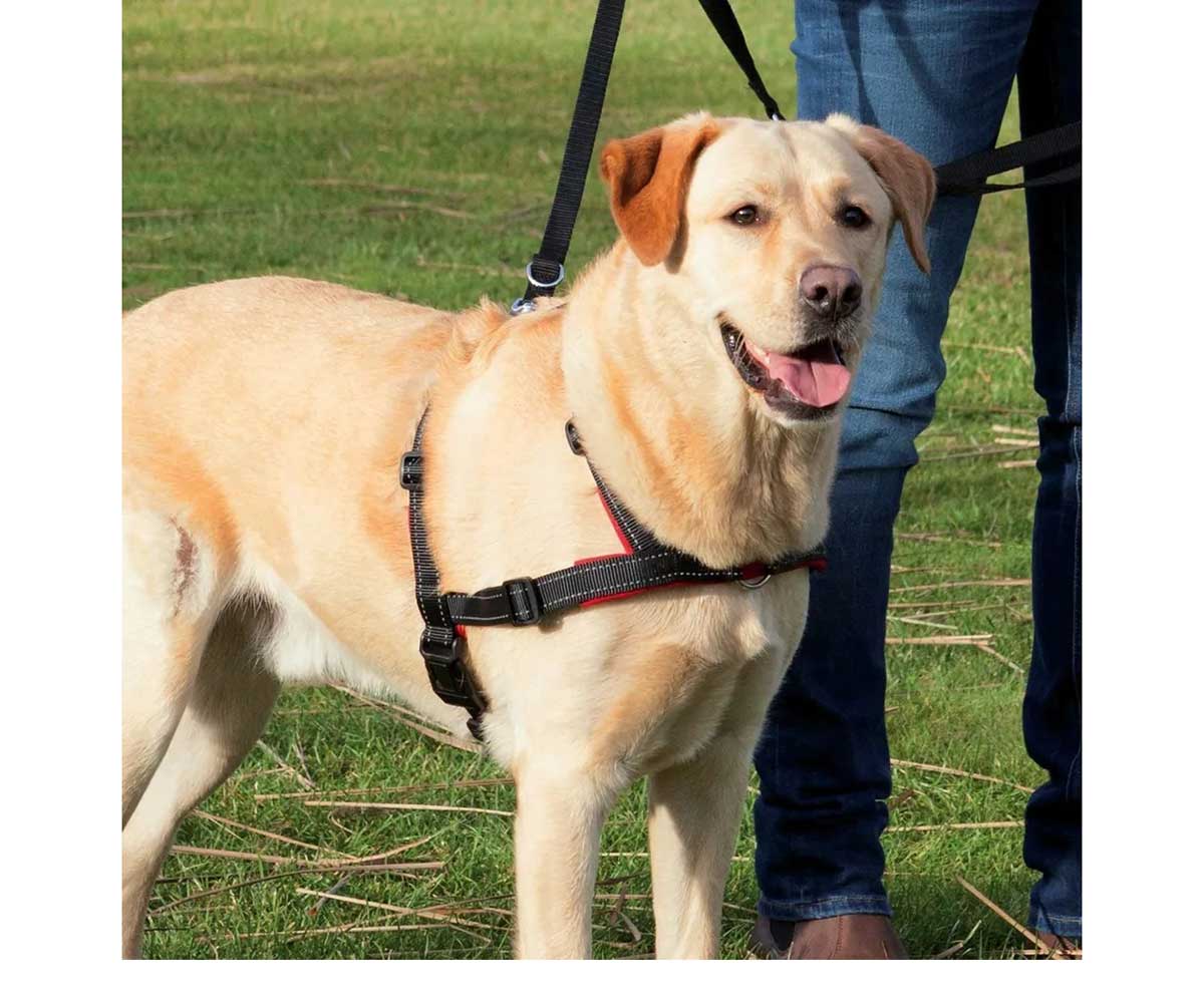 Шлейка Для Собак Средних и Крупных Пород Trixie (Трикси) Lead`N Walk Soft M-L 55-90см/25мм Черный 13056