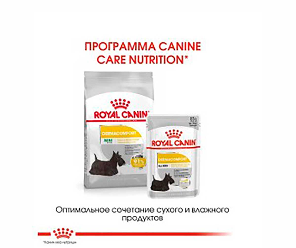 Сухой Корм Royal Canin (Роял Канин) Для Собак Мелких Пород с Чувствительной Кожей MINI Dermacomfort 1кг