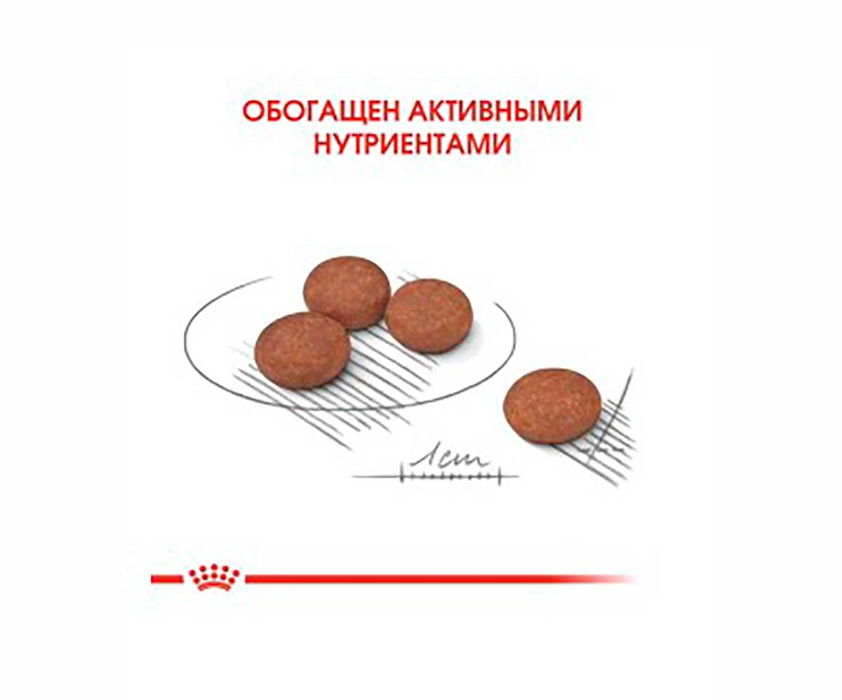 Сухой Корм Royal Canin (Роял Канин) Для Собак Мелких Пород с Чувствительным Пищеварением MINI Digestive Care 1кг
