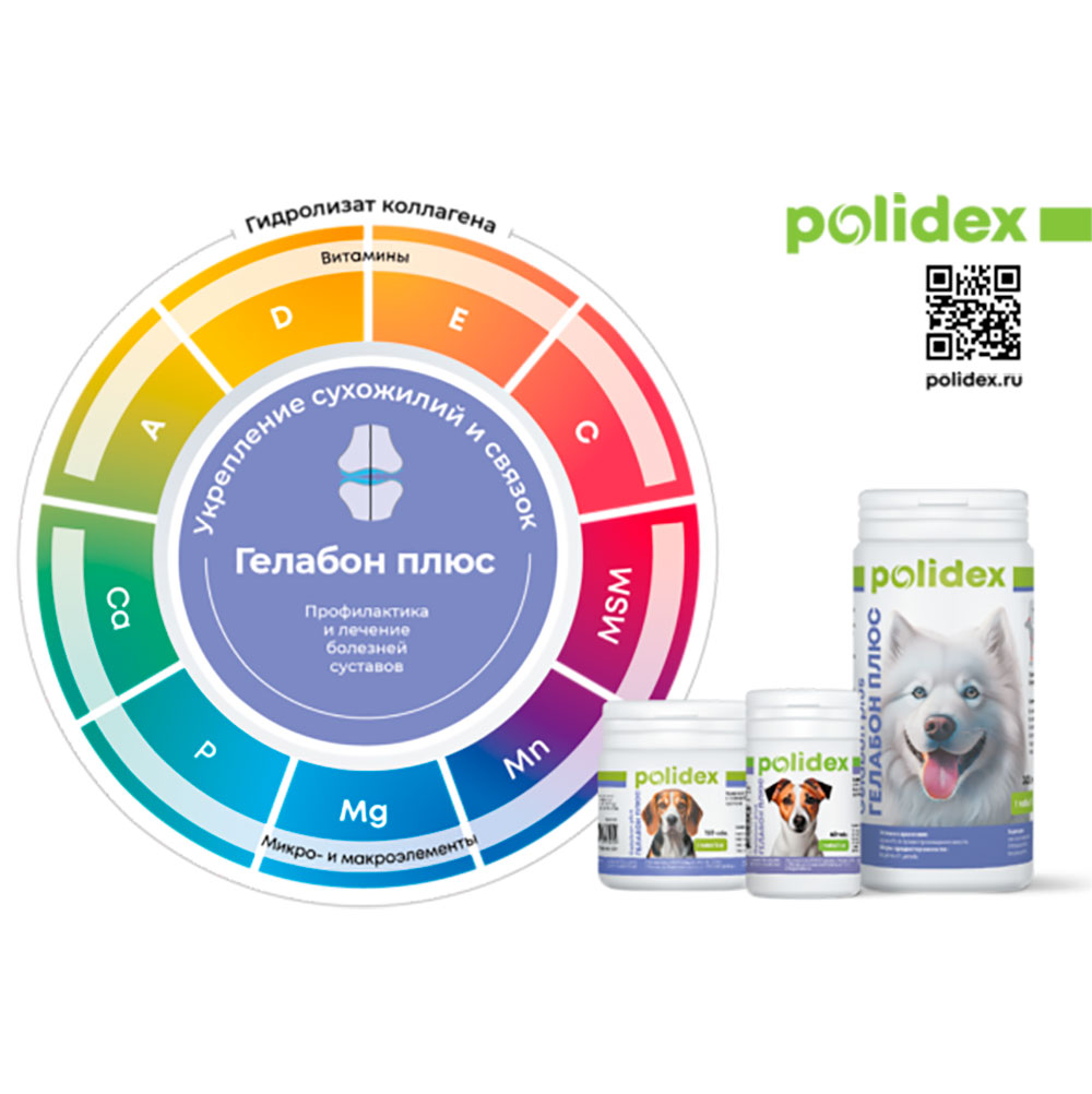 Polidex (Полидэкс) Gelabon Plus Гелабон Плюс Витаминно-минеральный Комплекс Для Собак Для Профилактики И Лечения Заболеваний Суставов, Костей, Хрящевой И Соединительной Тканей 150т (1т-5кг)