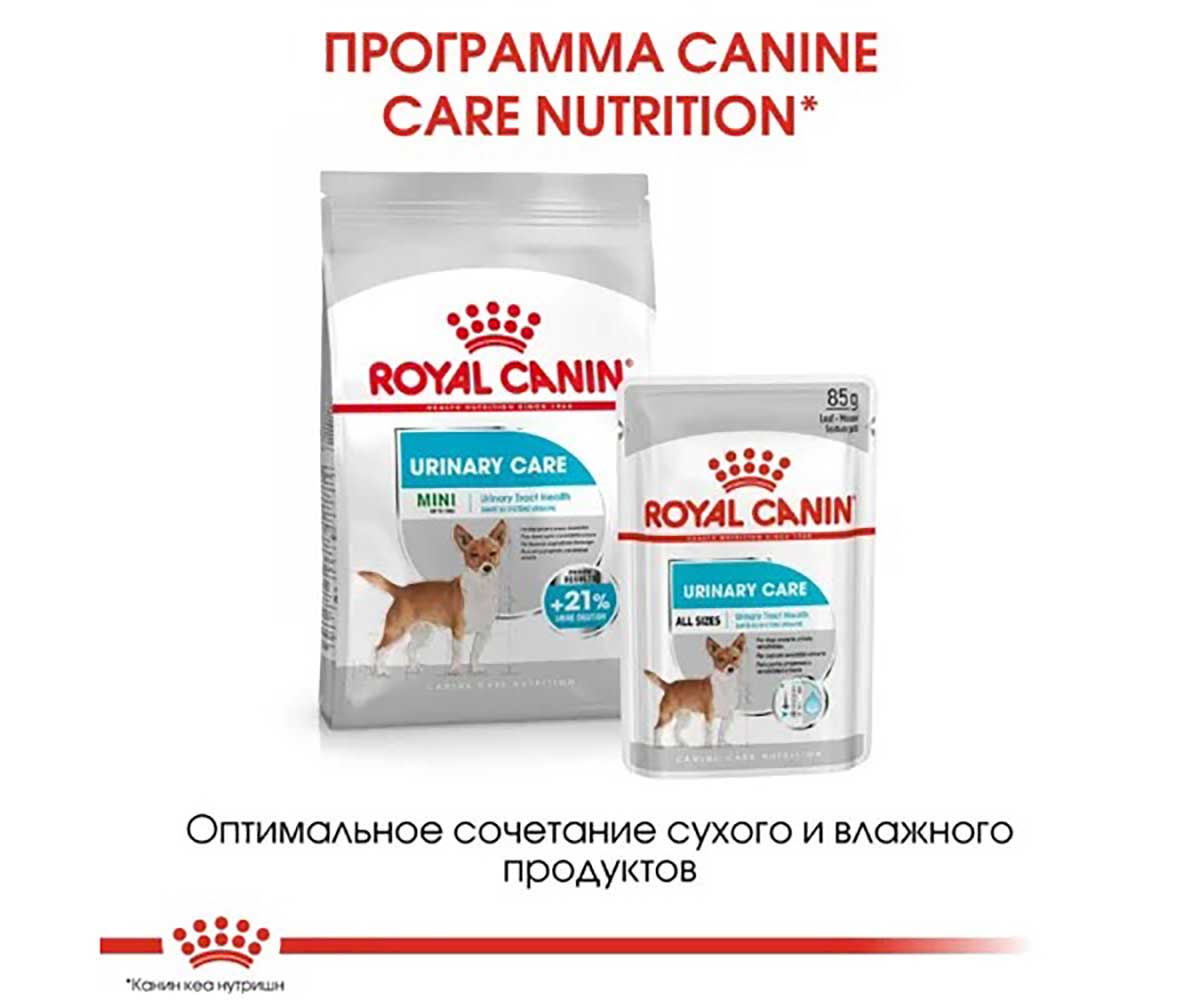Сухой Корм Royal Canin (Роял Канин) Для Собак Мелких Пород Для Поддержания Здоровья Мочеполовой Системы Mini Urinary Care 1кг