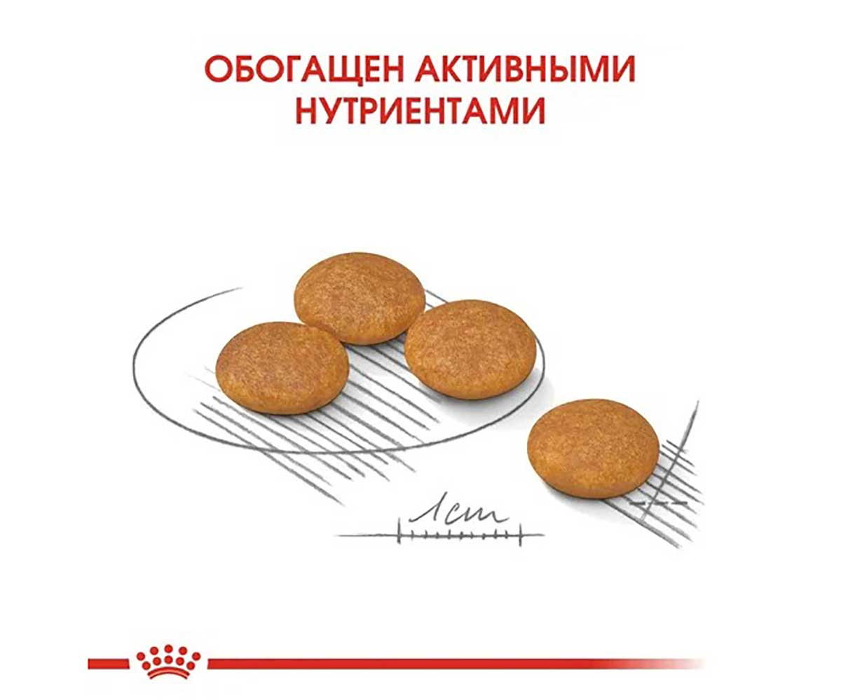 Сухой Корм Royal Canin (Роял Канин) Для Собак Мелких Пород с Чувствительной Кожей MINI Dermacomfort 3кг