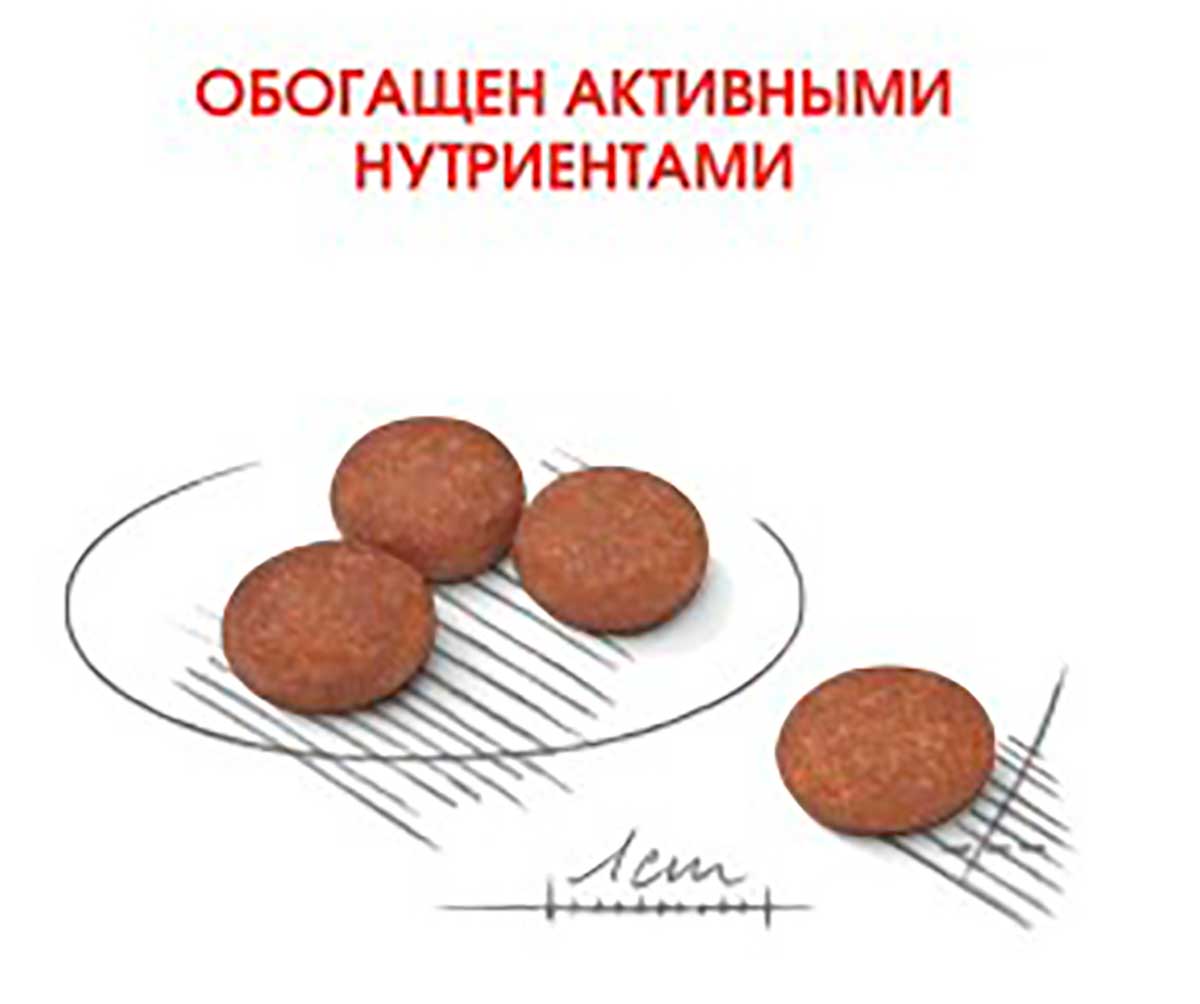 Сухой Корм Royal Canin (Роял Канин) Для Собак Мелких Пород с Чувствительным Пищеварением Mini Digestive Care 3кг