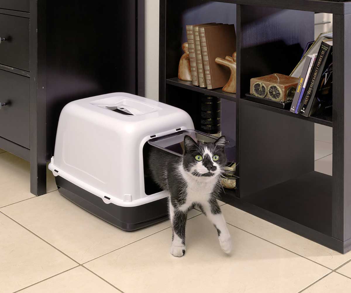 Туалет Для Кошек Закрытый Ferplast (Ферпласт) Clear Cat 20 с Угольным Фильтром 39,5*52,5*h38см 72053199
